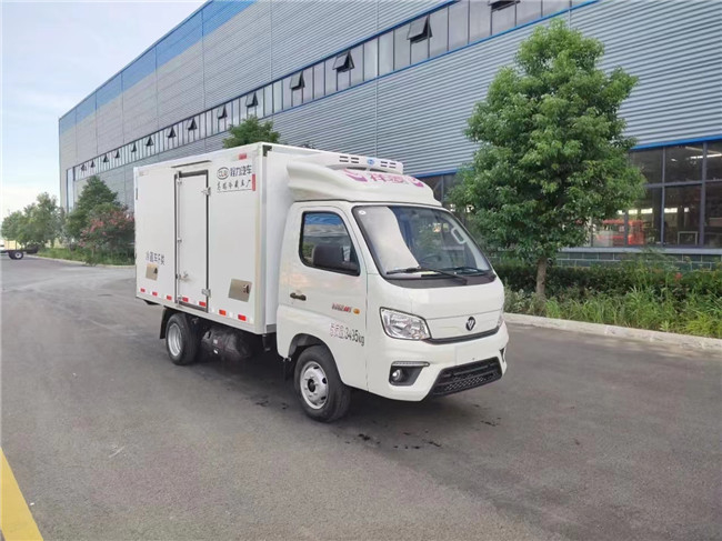 De Doosvrachtwagen 115km/H 1,5 Ton Ice Cream Freezer Truck van de polyurethaanijskast