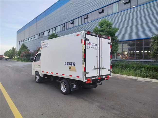 De Doosvrachtwagen 115km/H 1,5 Ton Ice Cream Freezer Truck van de polyurethaanijskast