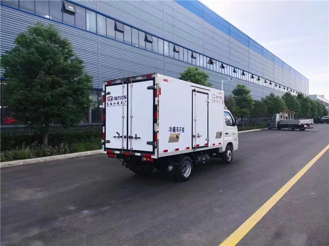 De Doosvrachtwagen 115km/H 1,5 Ton Ice Cream Freezer Truck van de polyurethaanijskast