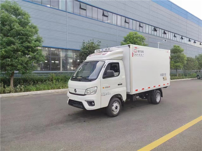 De Doosvrachtwagen 115km/H 1,5 Ton Ice Cream Freezer Truck van de polyurethaanijskast